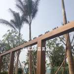 海南海花岛七星酒店钢构廊架木纹漆施工案例